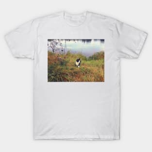 Hunting cat by a lake T-Shirt